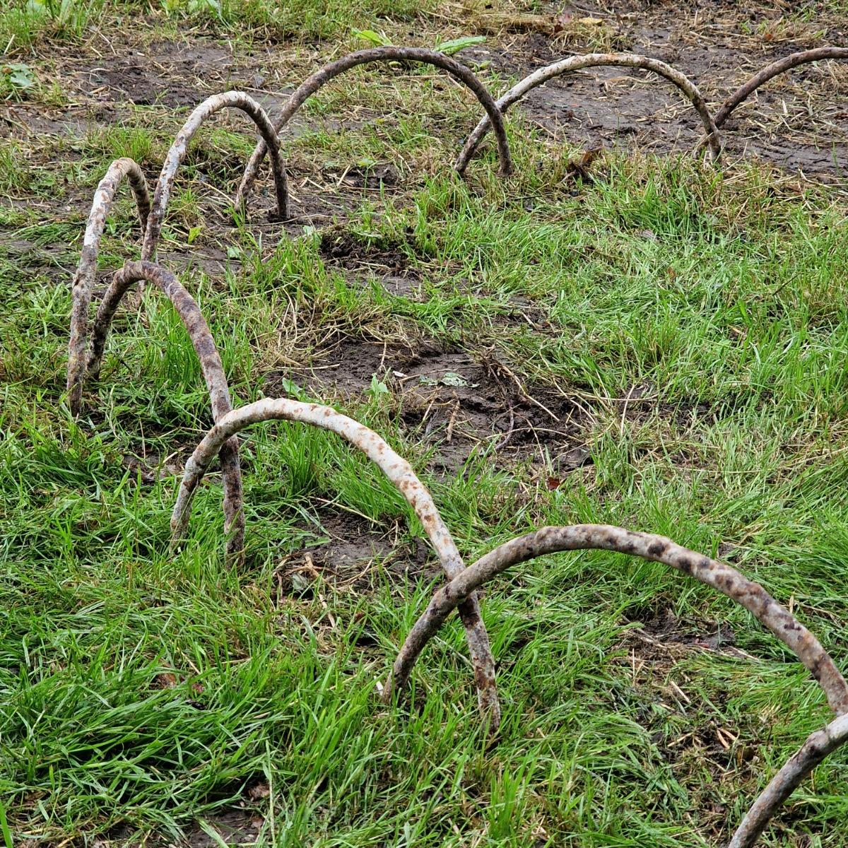 17 faux-bois garden arches