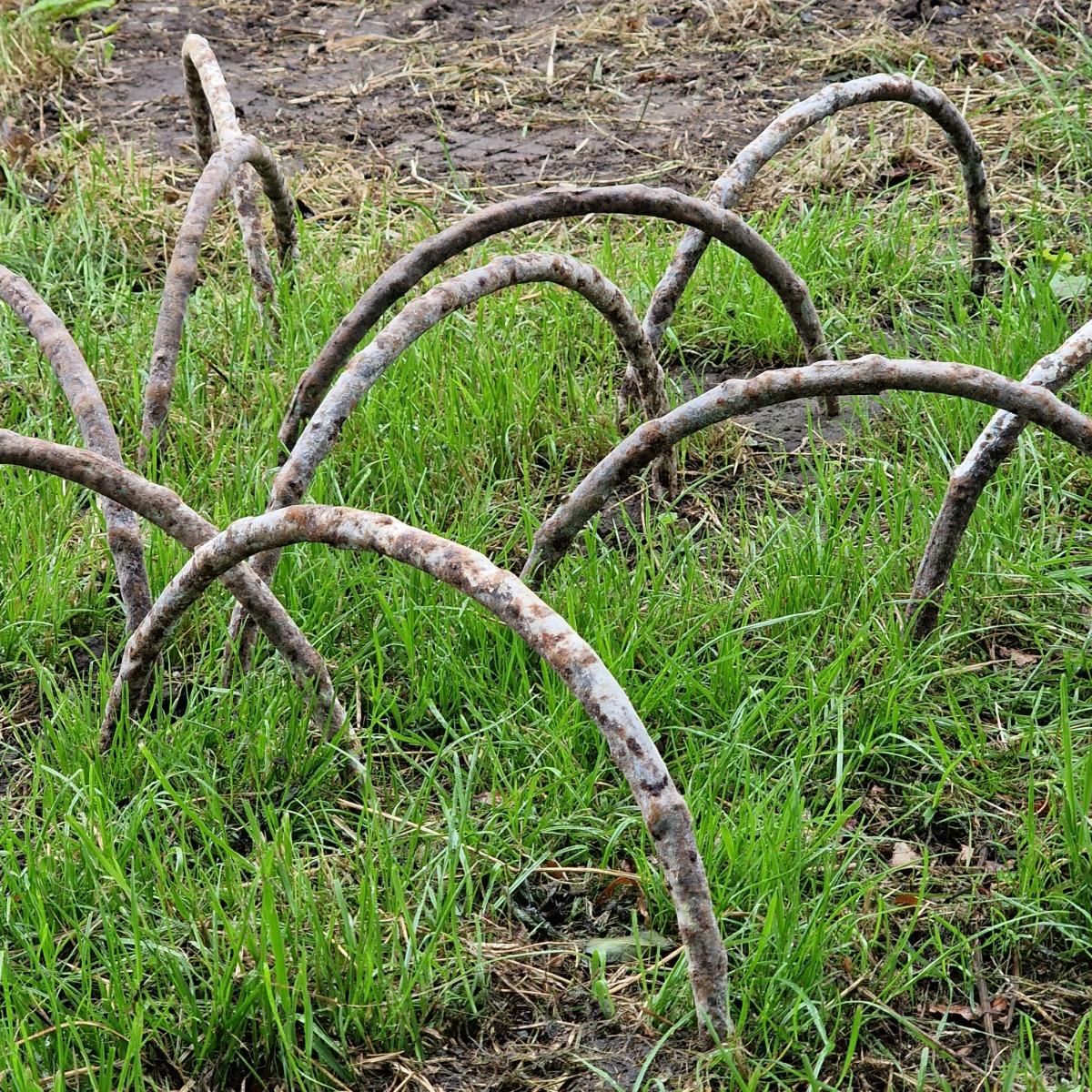 17 faux-bois garden arches