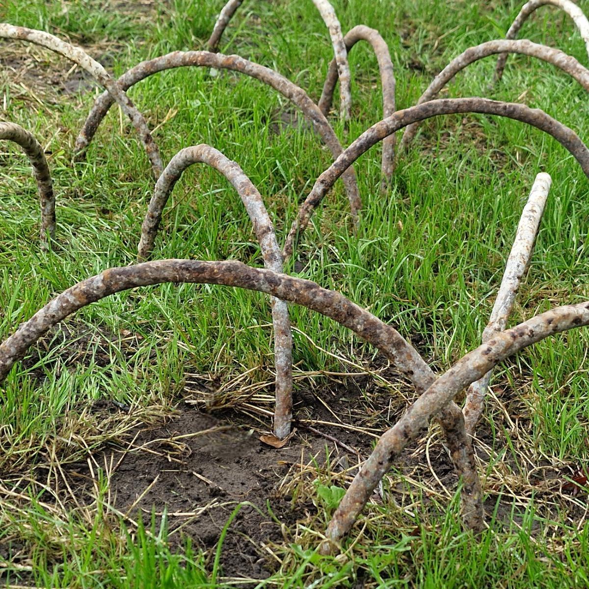 17 faux-bois garden arches