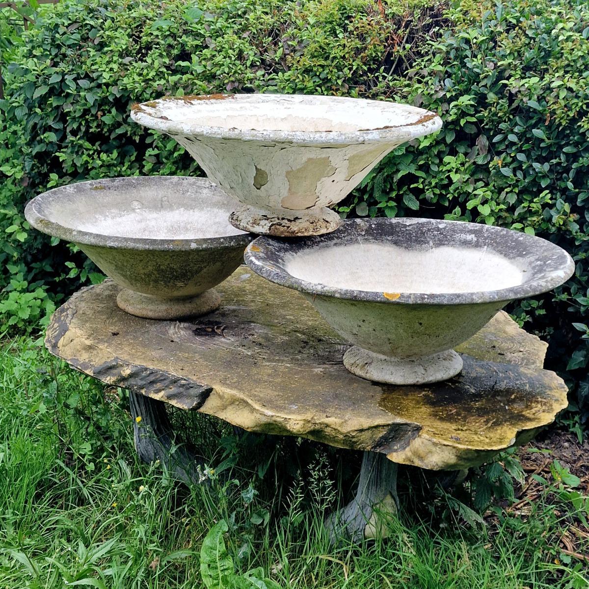 3 elegant bowl planters