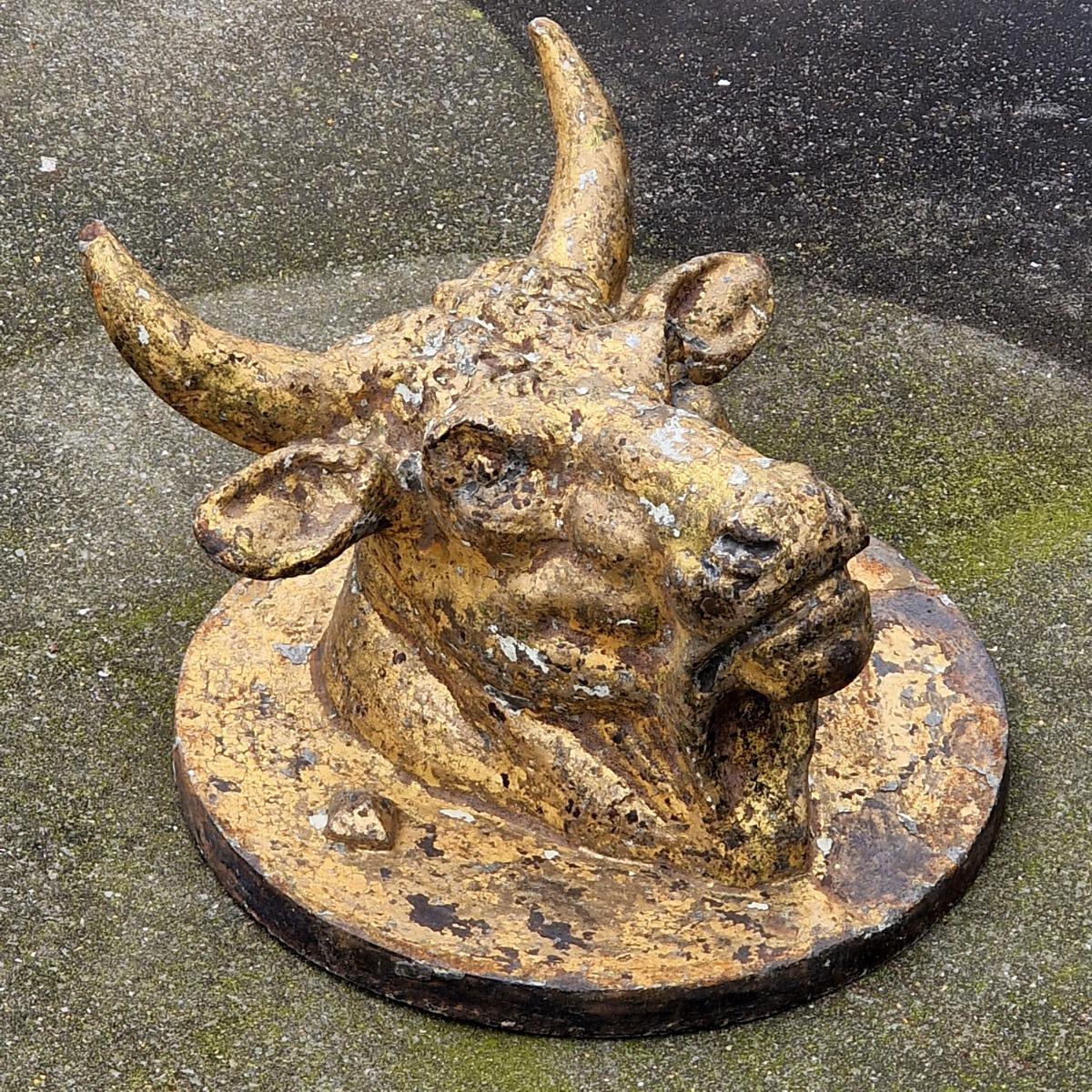 Cast iron bull's head