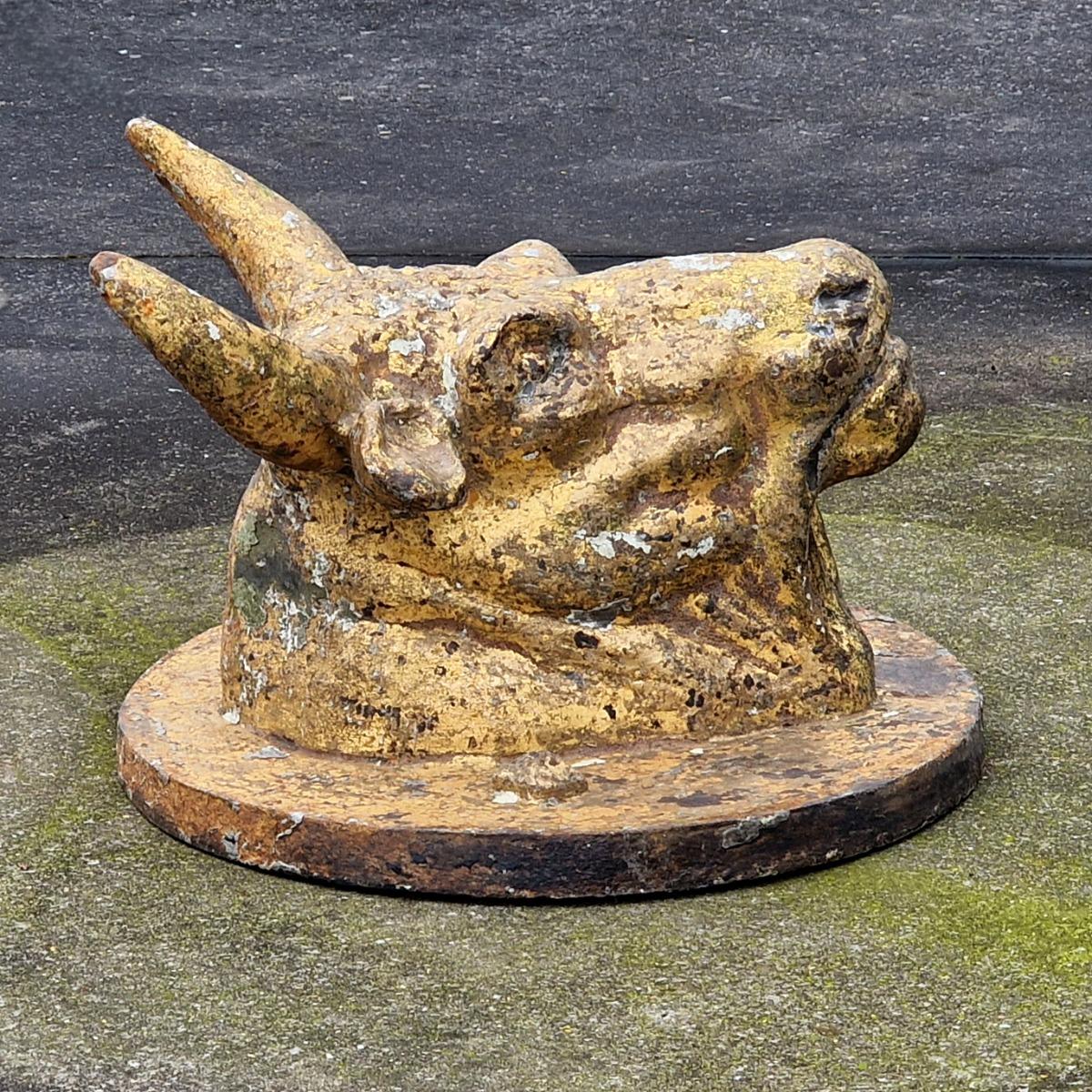 Cast iron bull's head