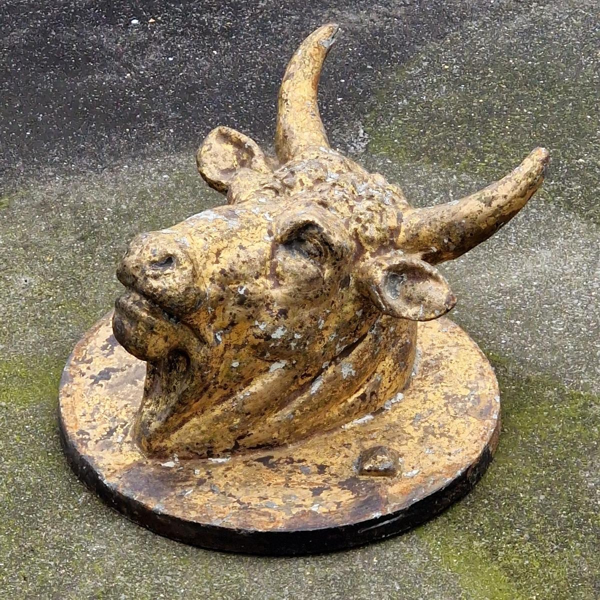 Cast iron bull's head