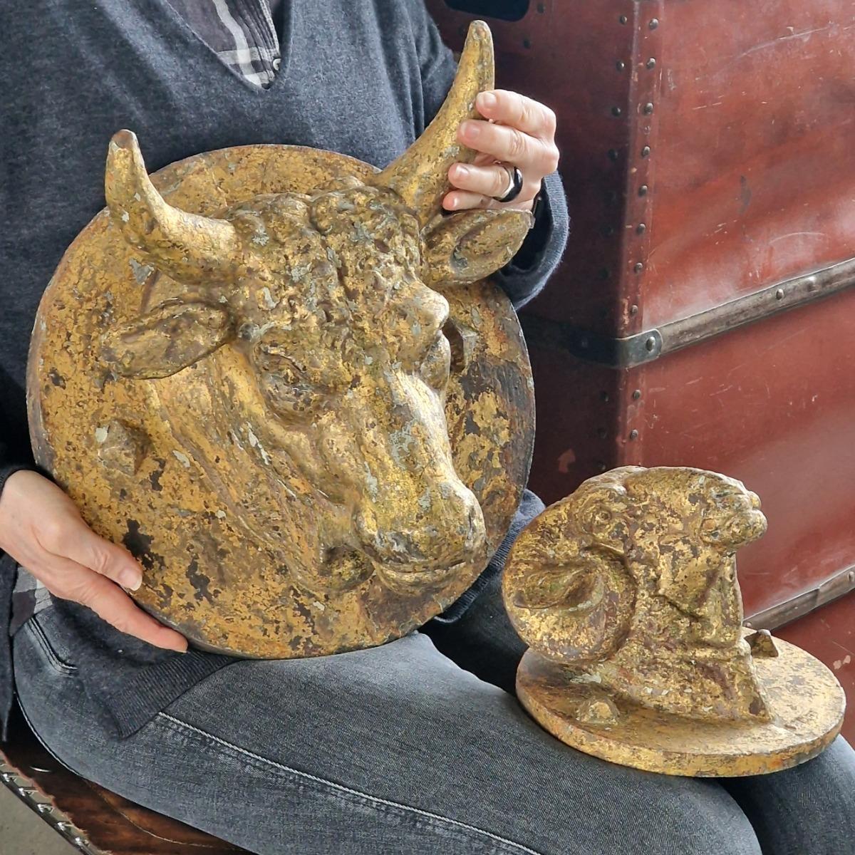 Cast iron bull's head