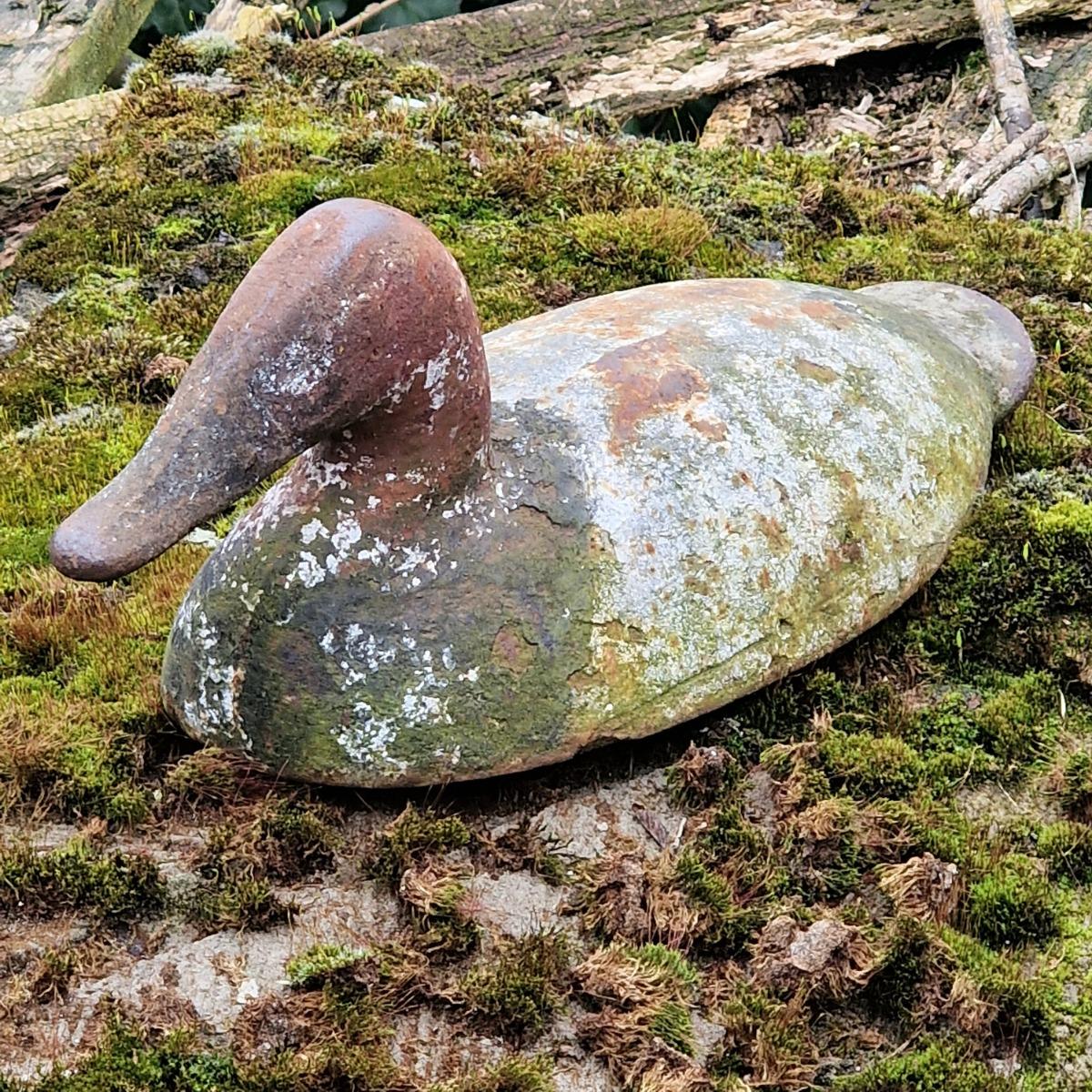 Cast iron duck