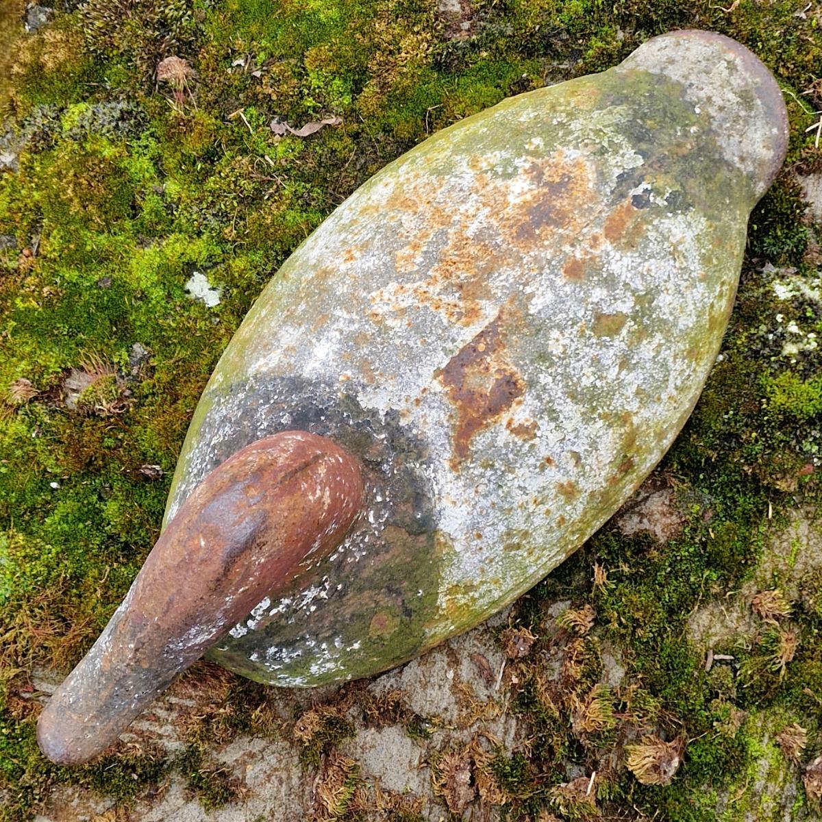 Cast iron duck