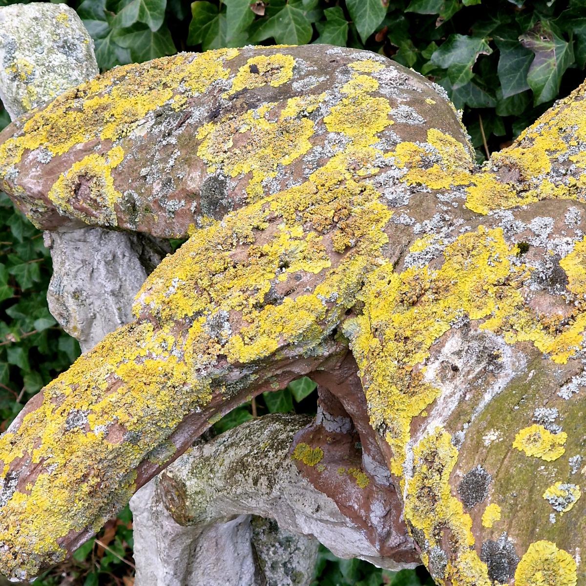 Cement bird on branch