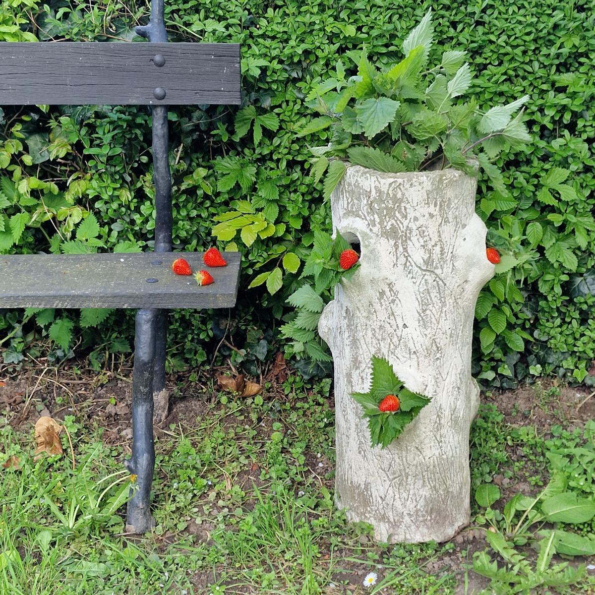 Faux-bois strawberry planter