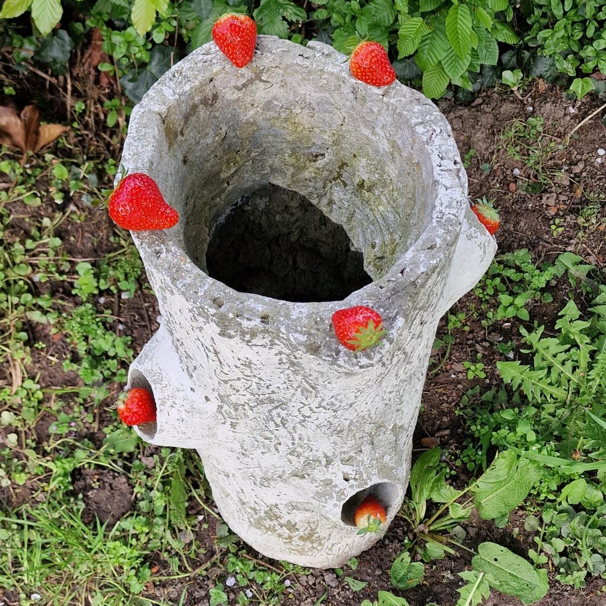 Faux-bois strawberry planter