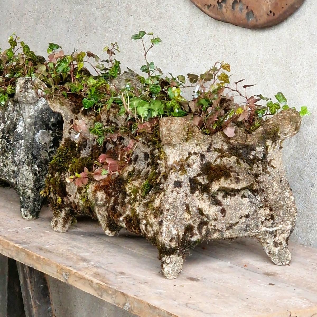 Pair of cast stone planters