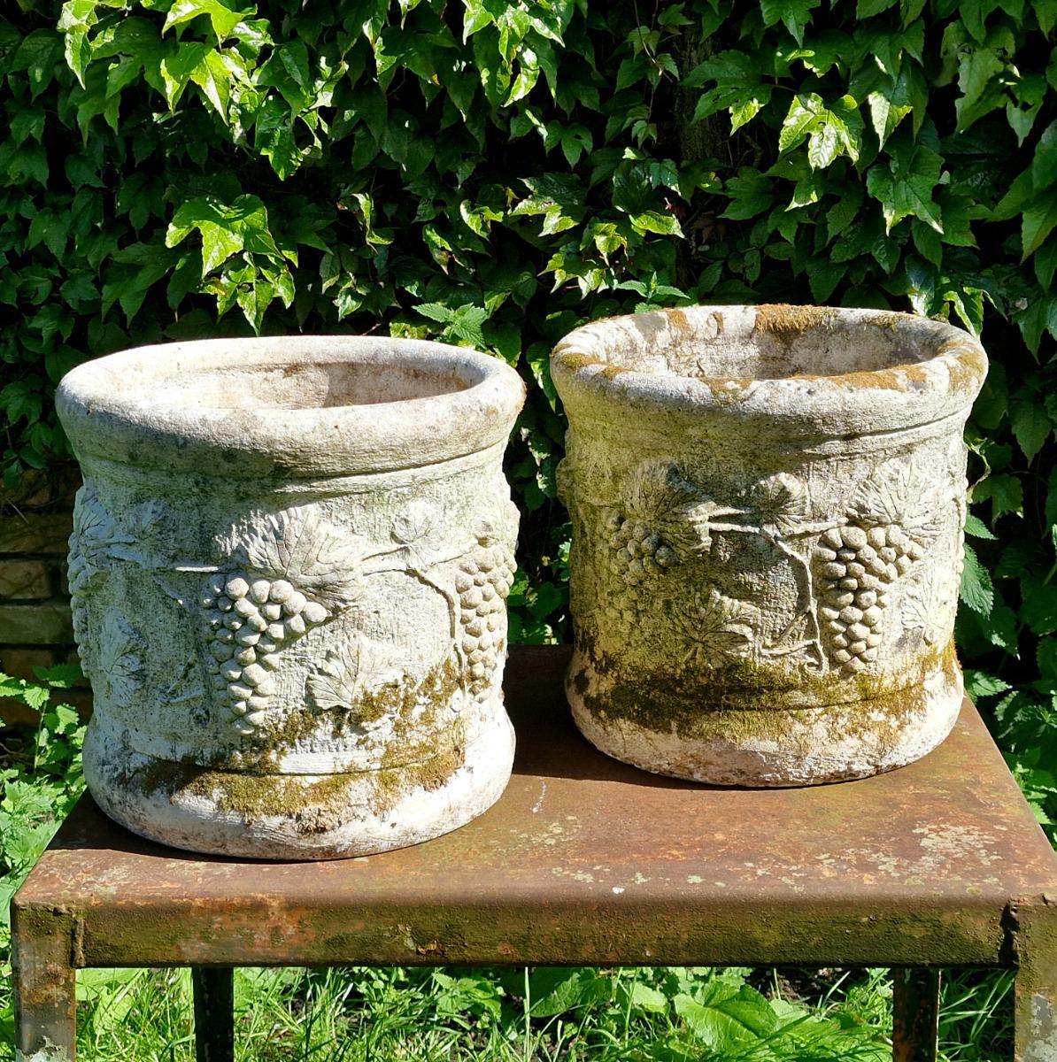 Pair of grapevine planters
