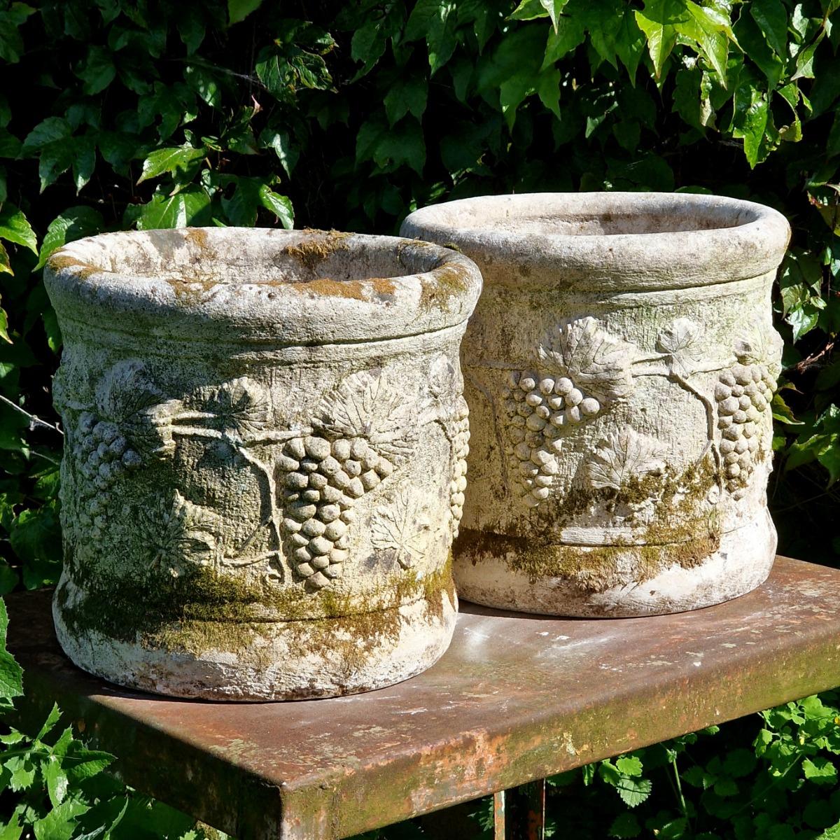 Pair of grapevine planters