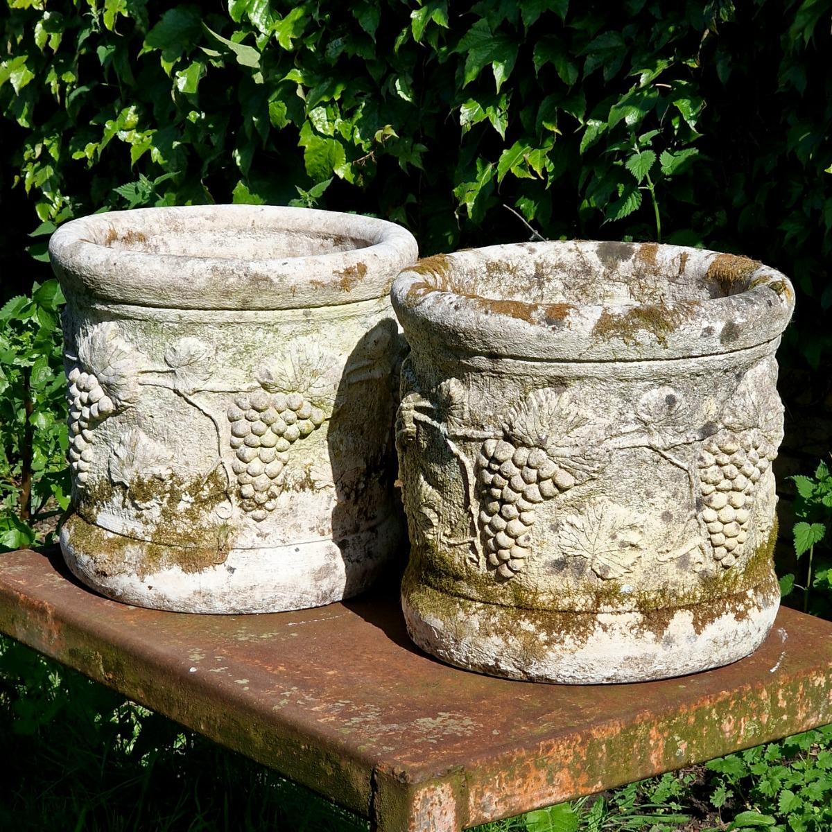 Pair of grapevine planters