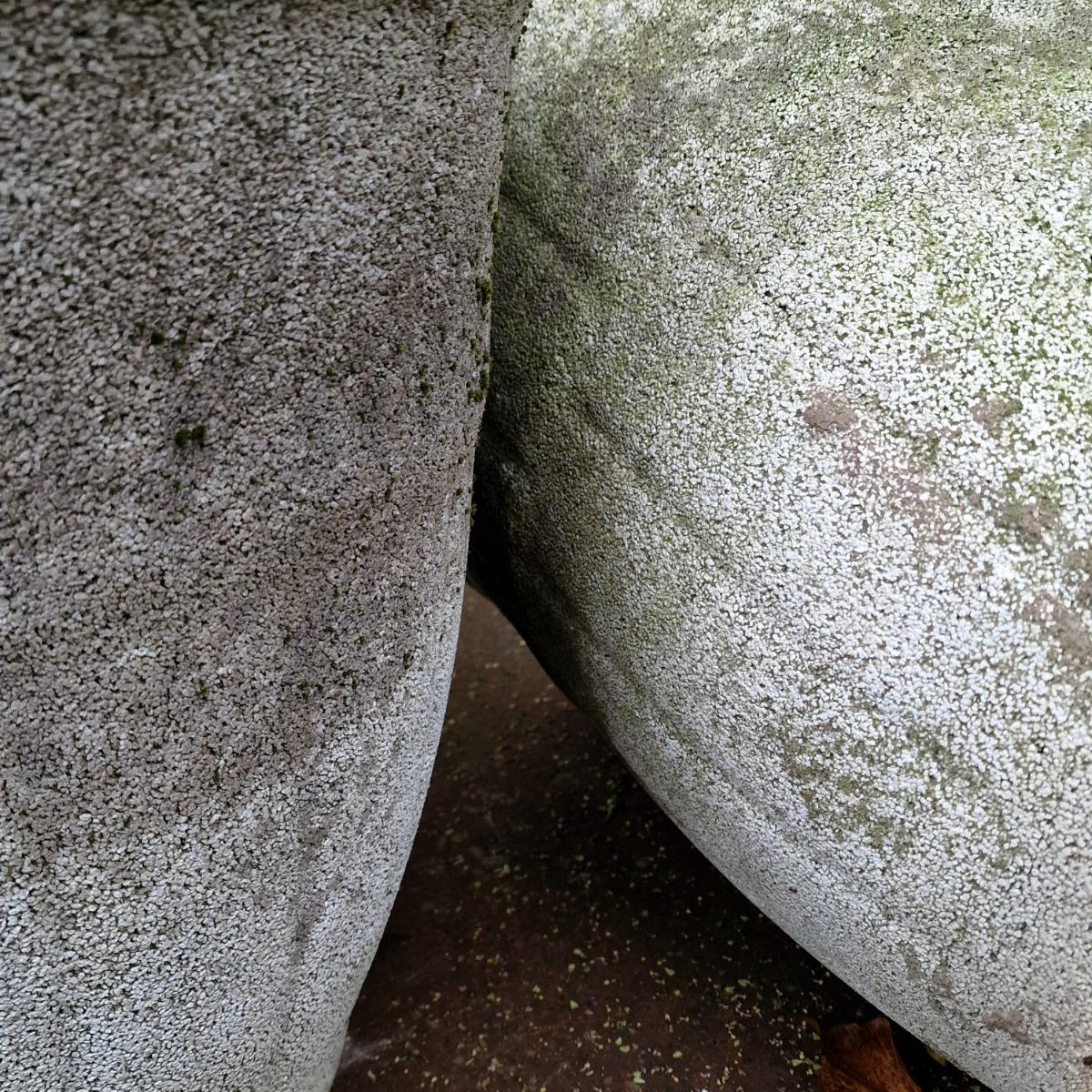 Pair of large planters