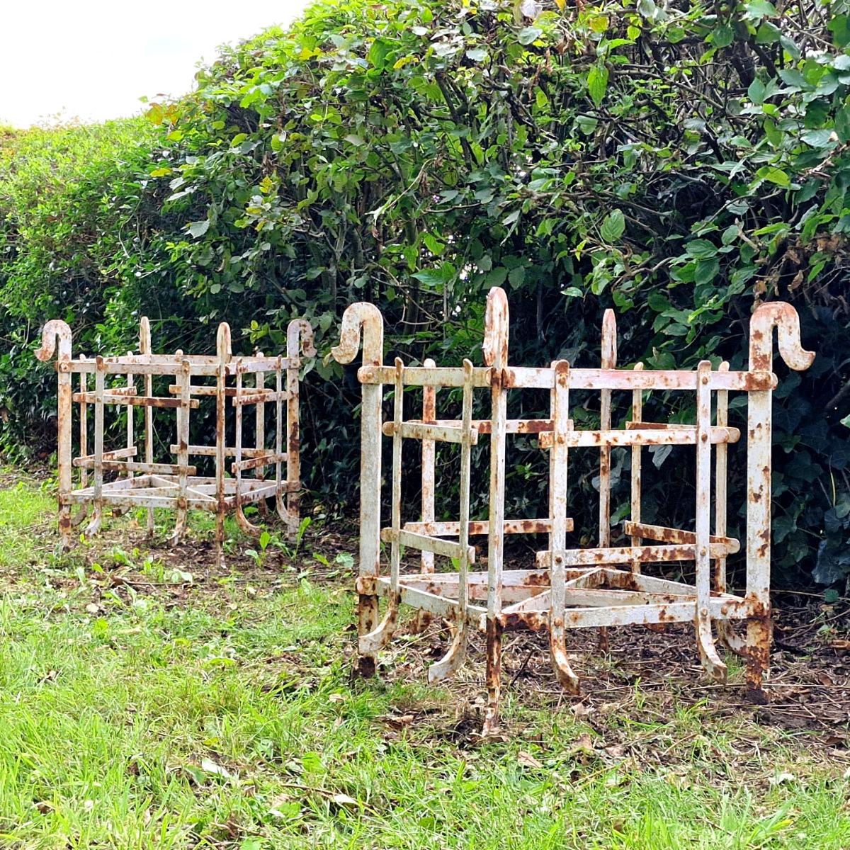 Pair of metal orangerie planters