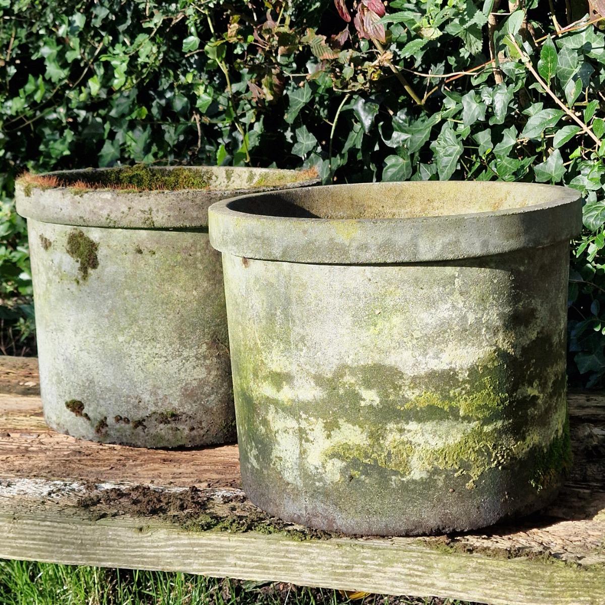 Pair of mossy round planters