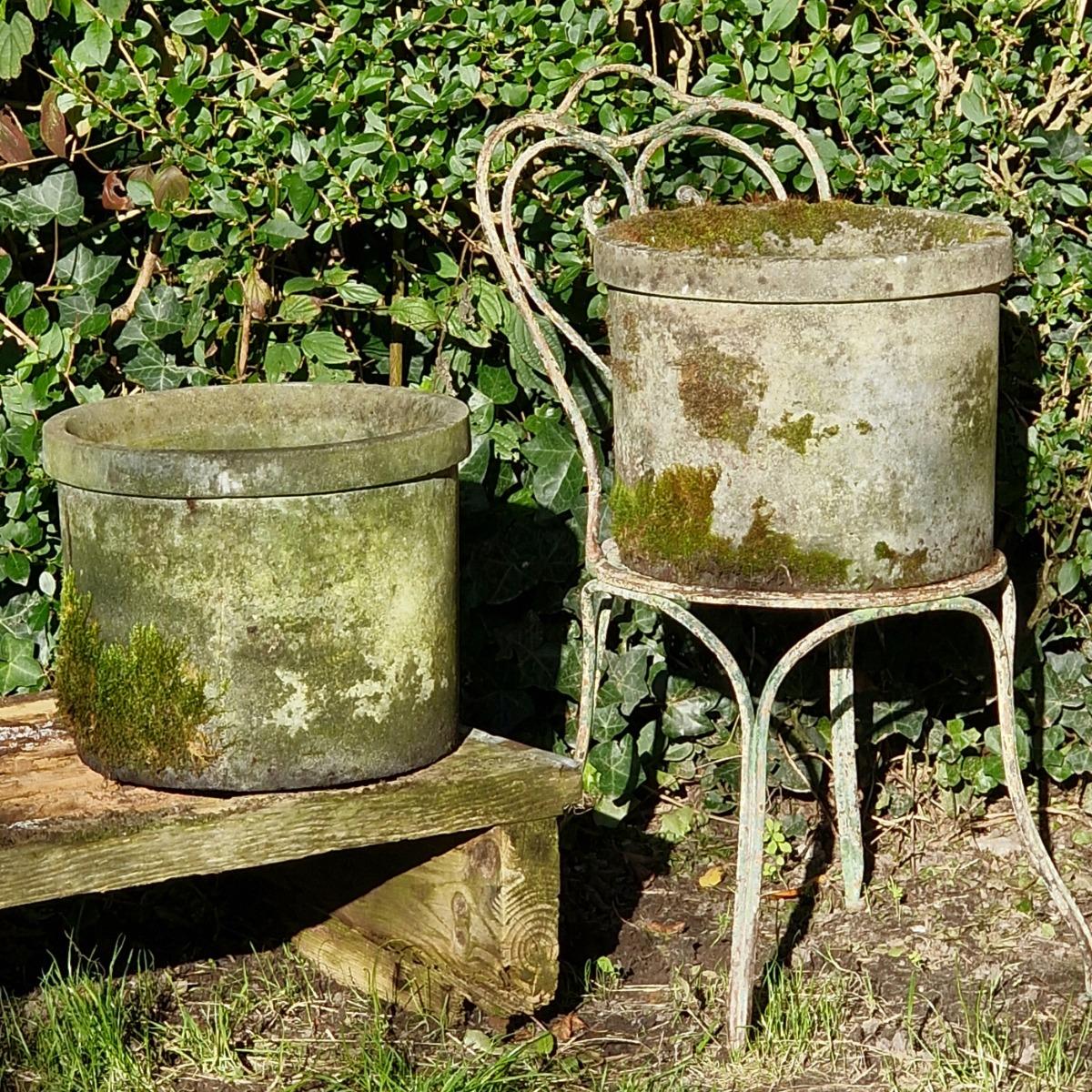 Pair of mossy round planters