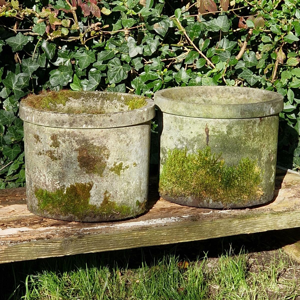 Pair of mossy round planters