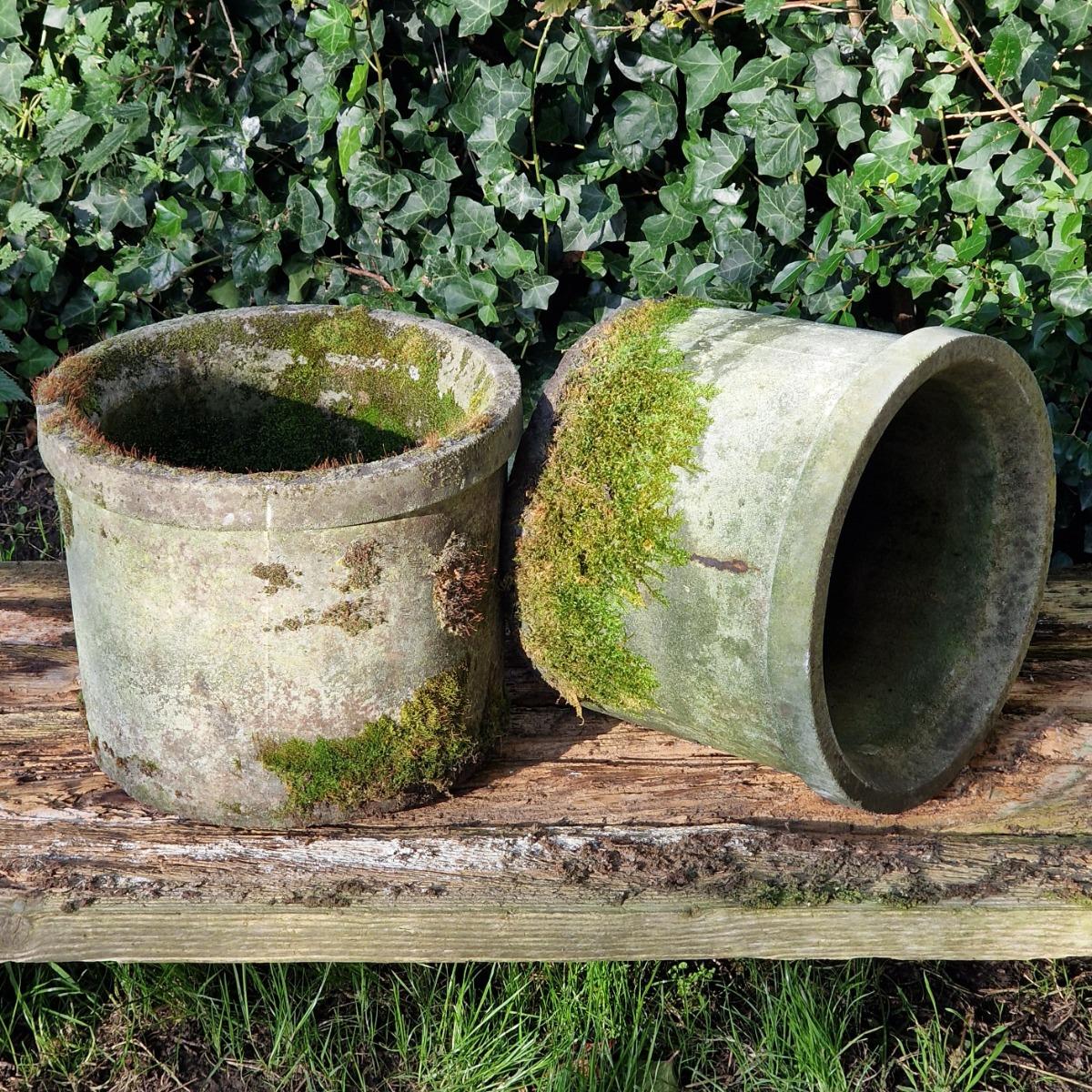 Pair of mossy round planters