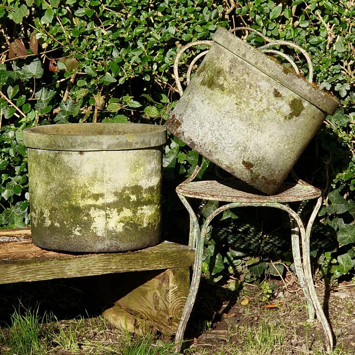 Pair of mossy round planters