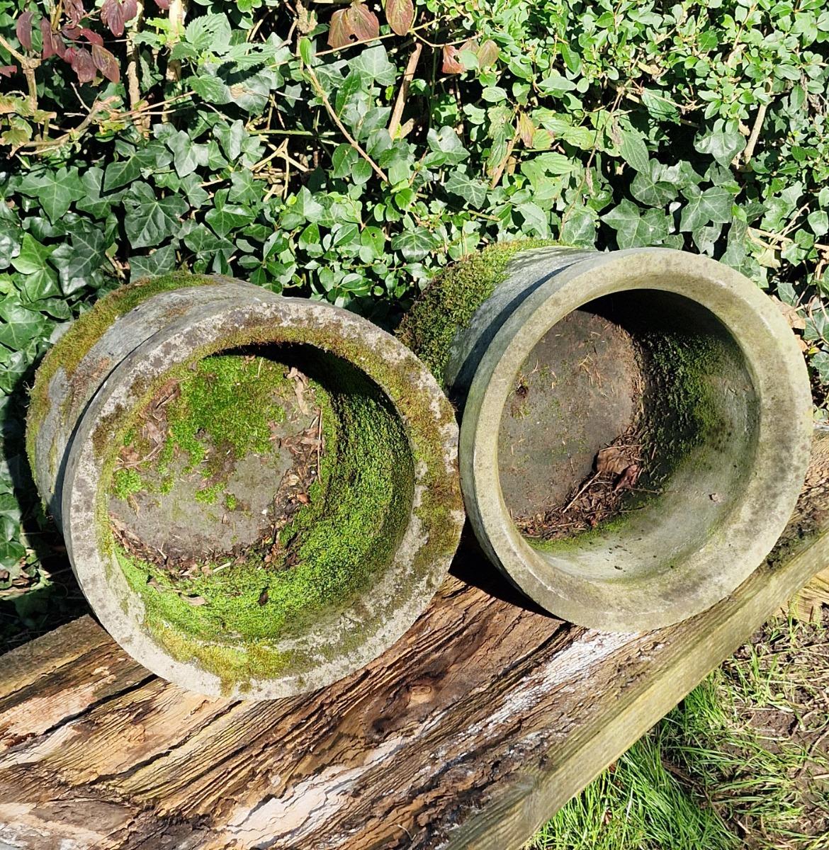 Pair of mossy round planters