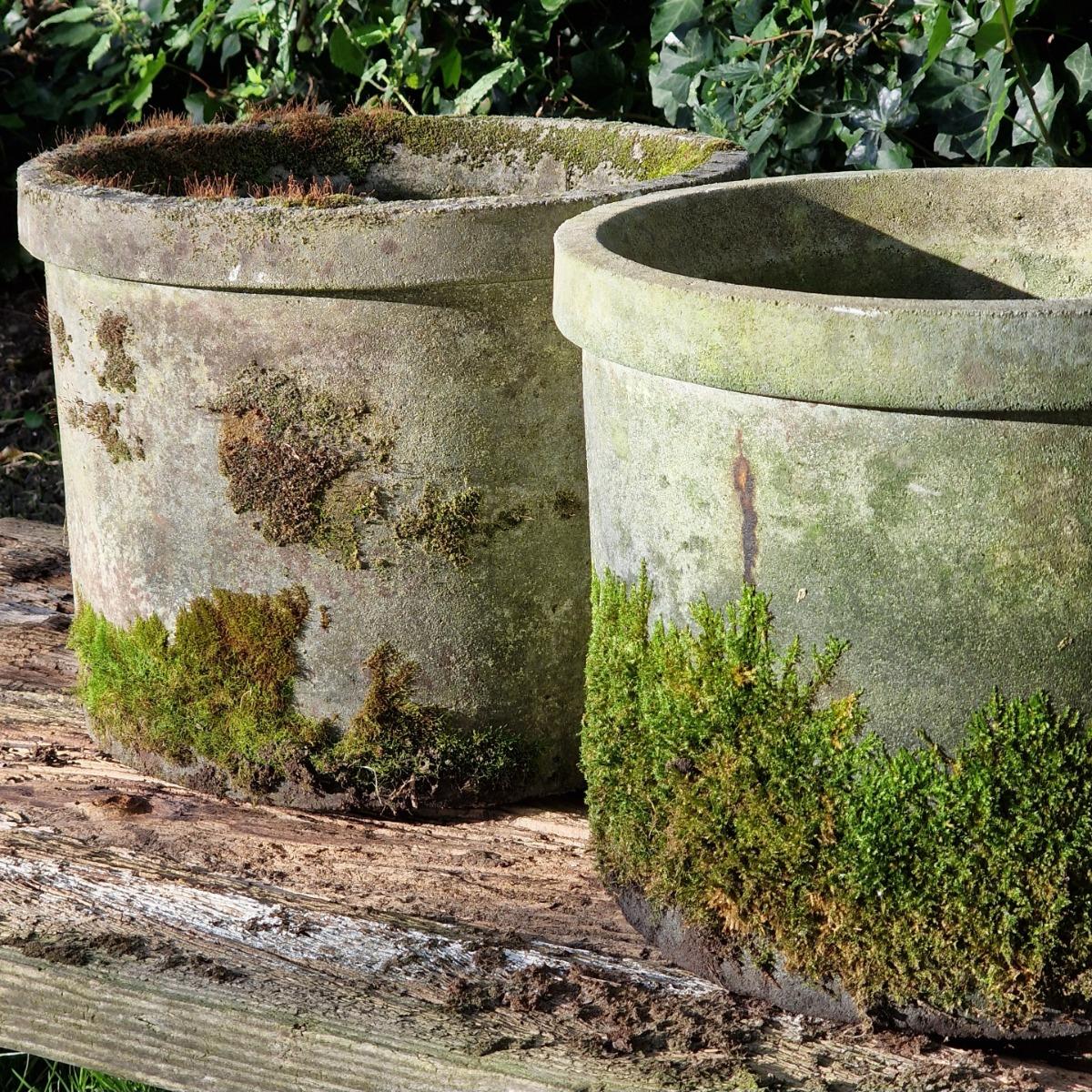 Pair of mossy round planters