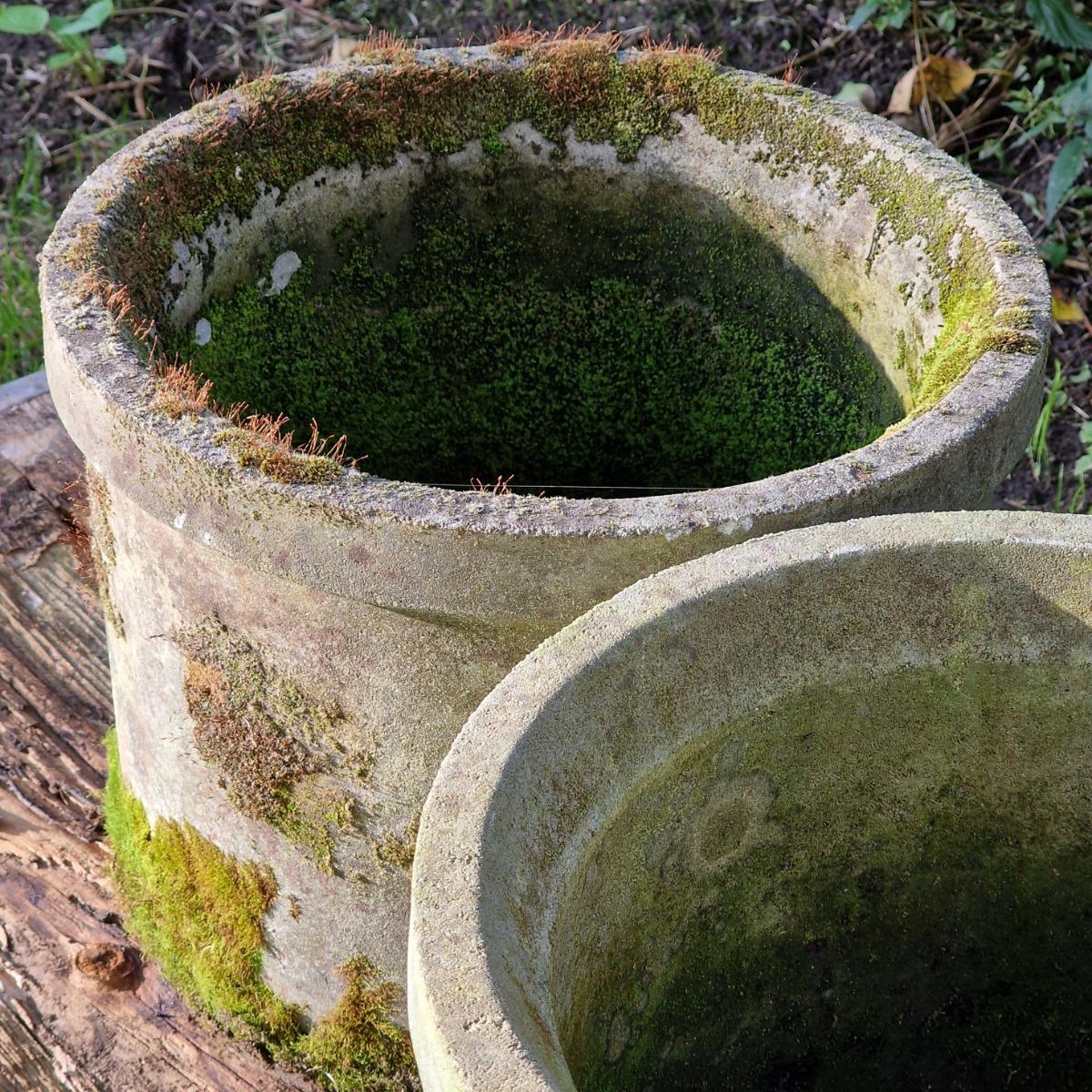 Pair of mossy round planters