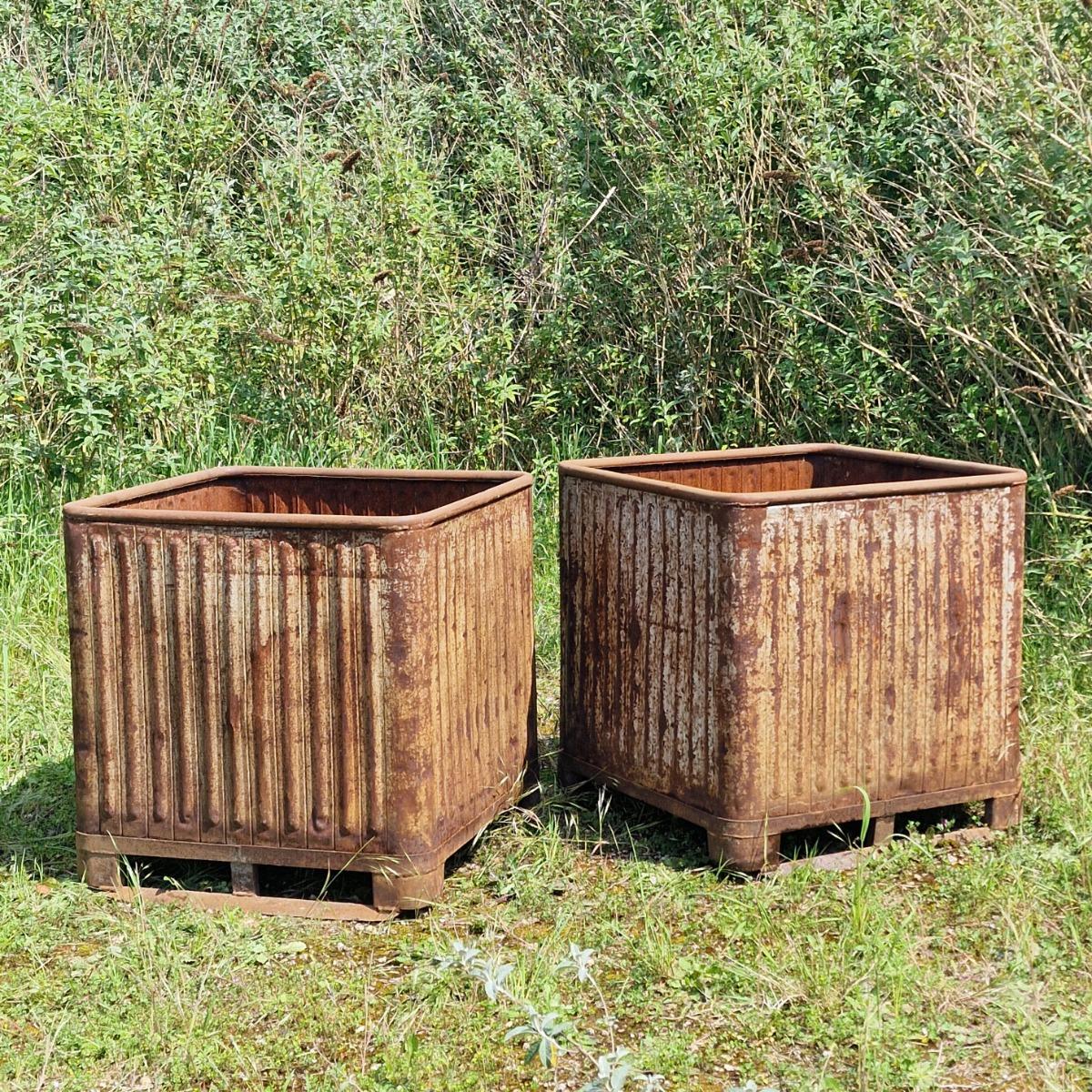 Pair of XL industrial orangerie planters