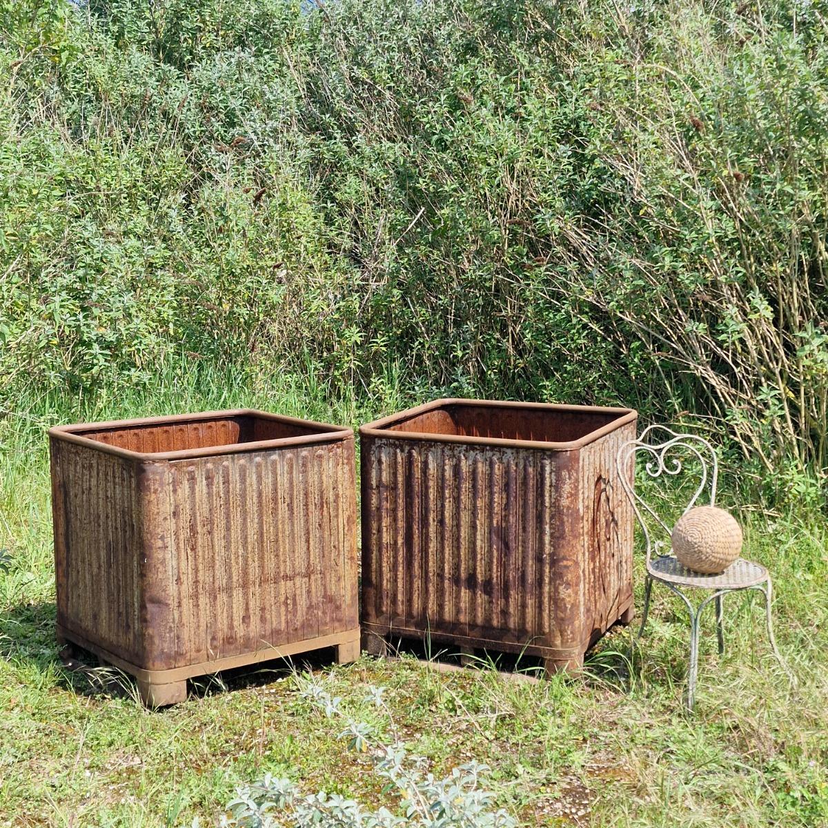 Pair of XL industrial orangerie planters