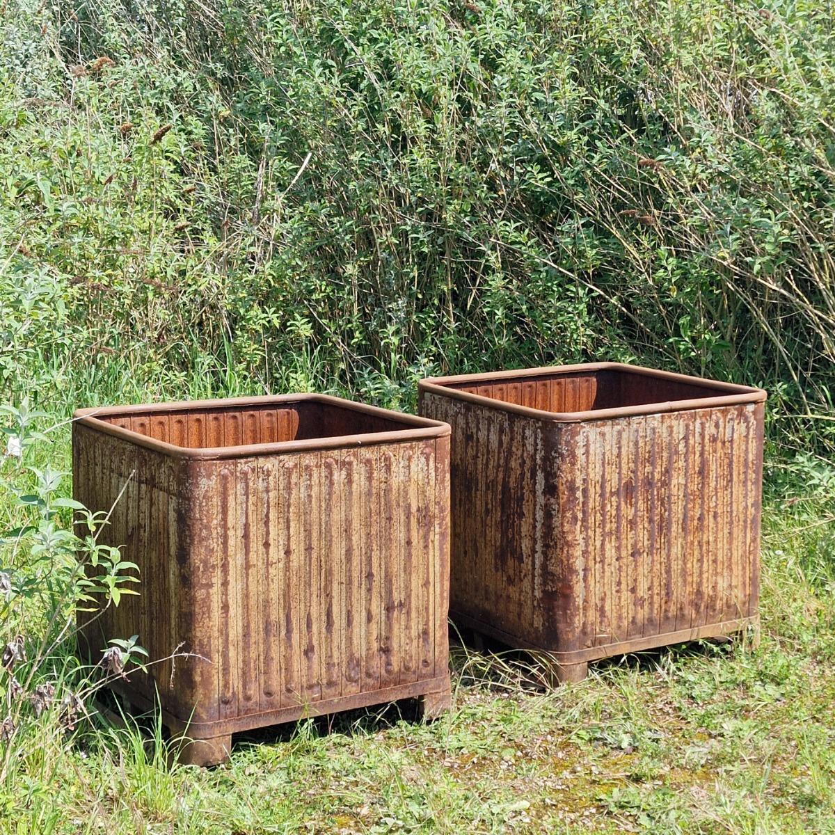 Pair of XL industrial orangerie planters