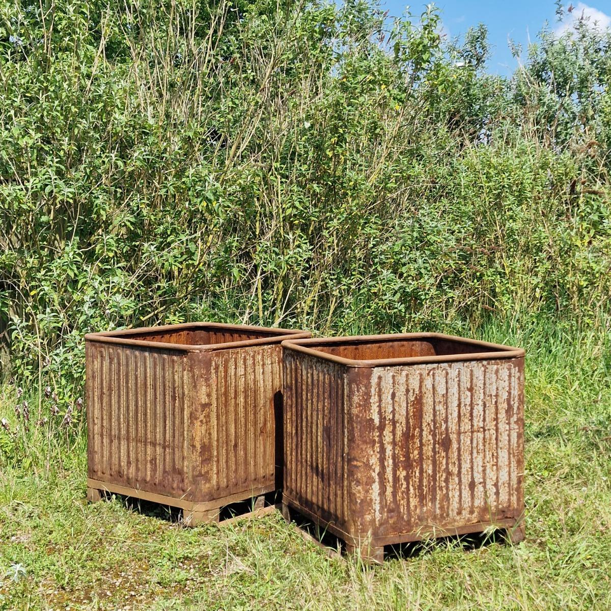 Pair of XL industrial orangerie planters