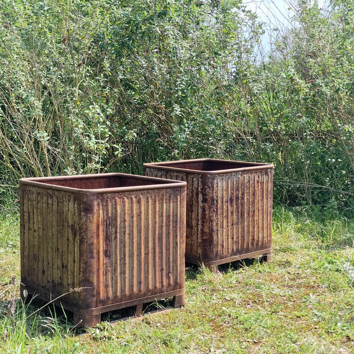 Pair of XL industrial orangerie planters