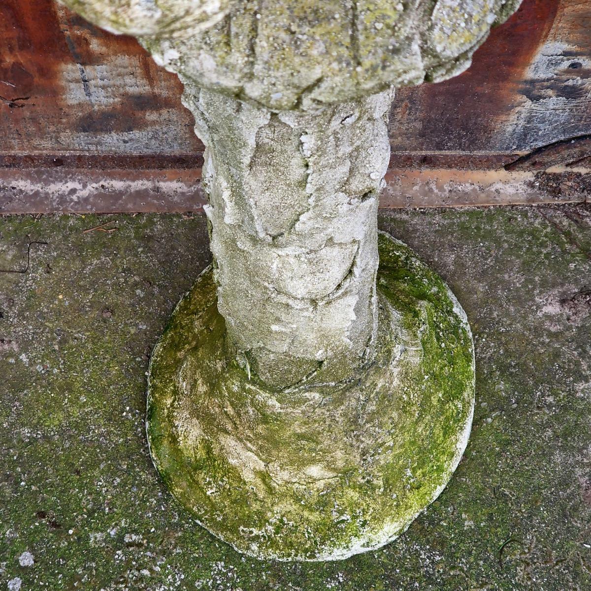 Pigeon on tree trunk