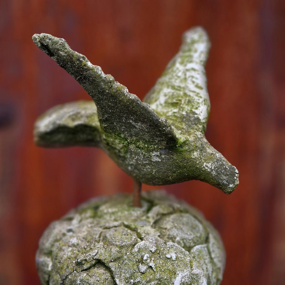 Pigeon on tree trunk