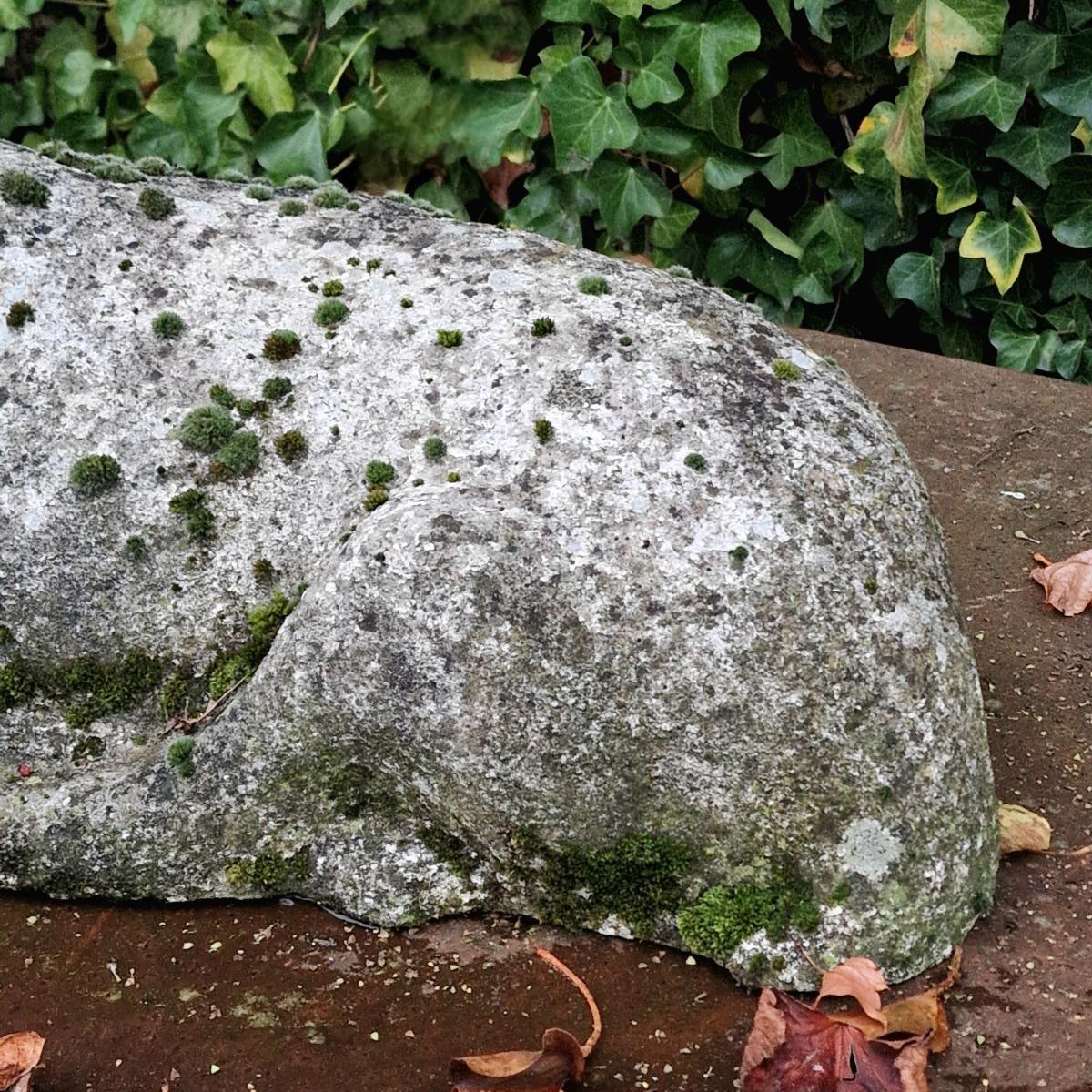 White cement deer