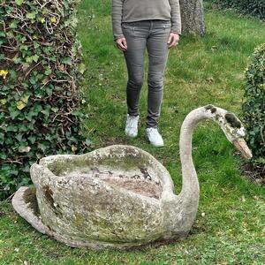 XL swan planter