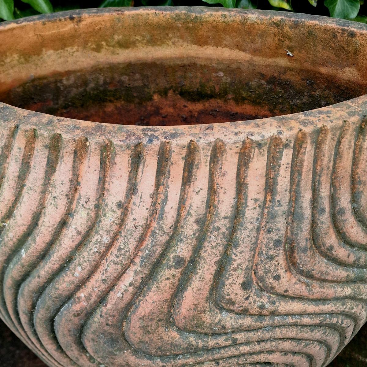 XL terra cotta planter