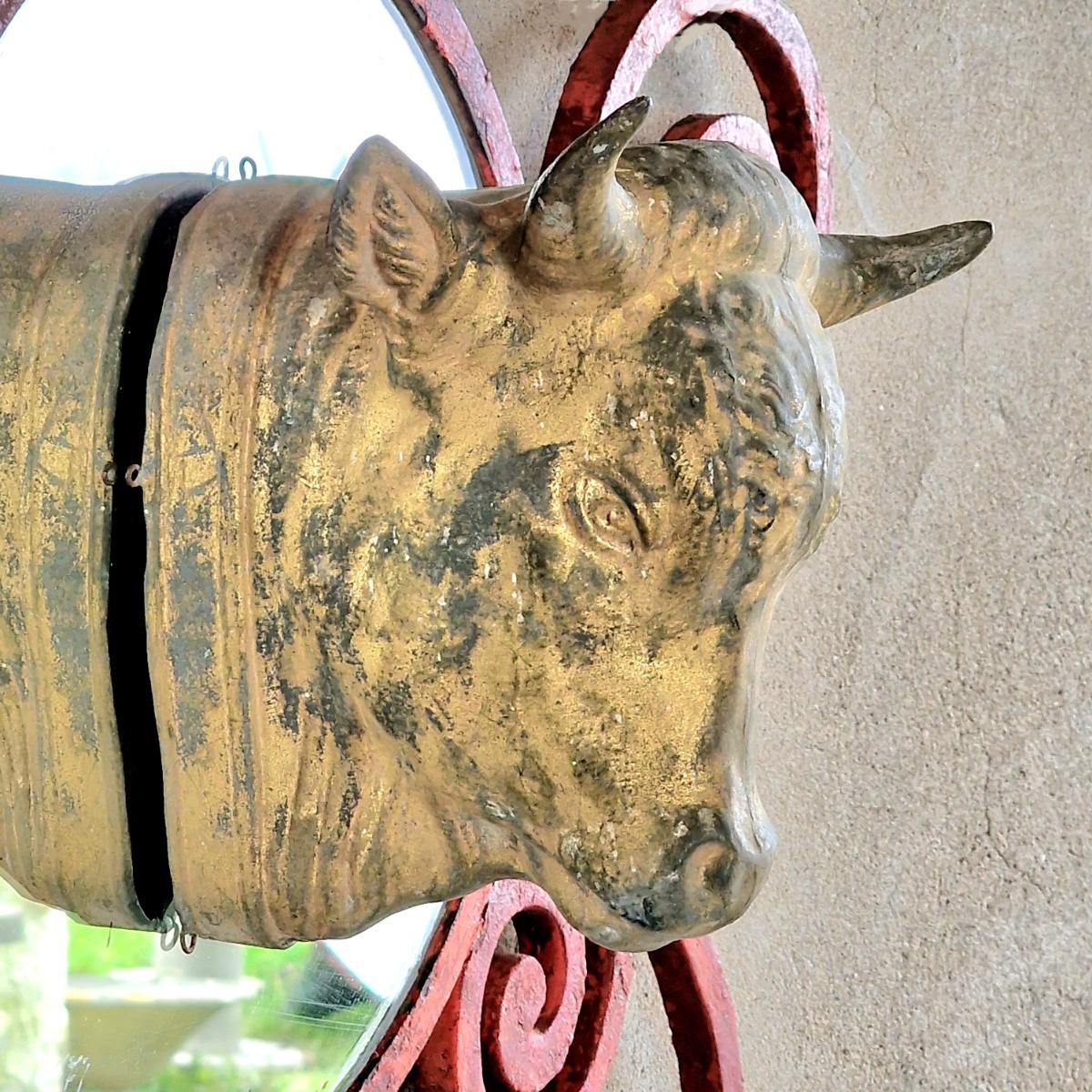 Zinc bull's head on frame