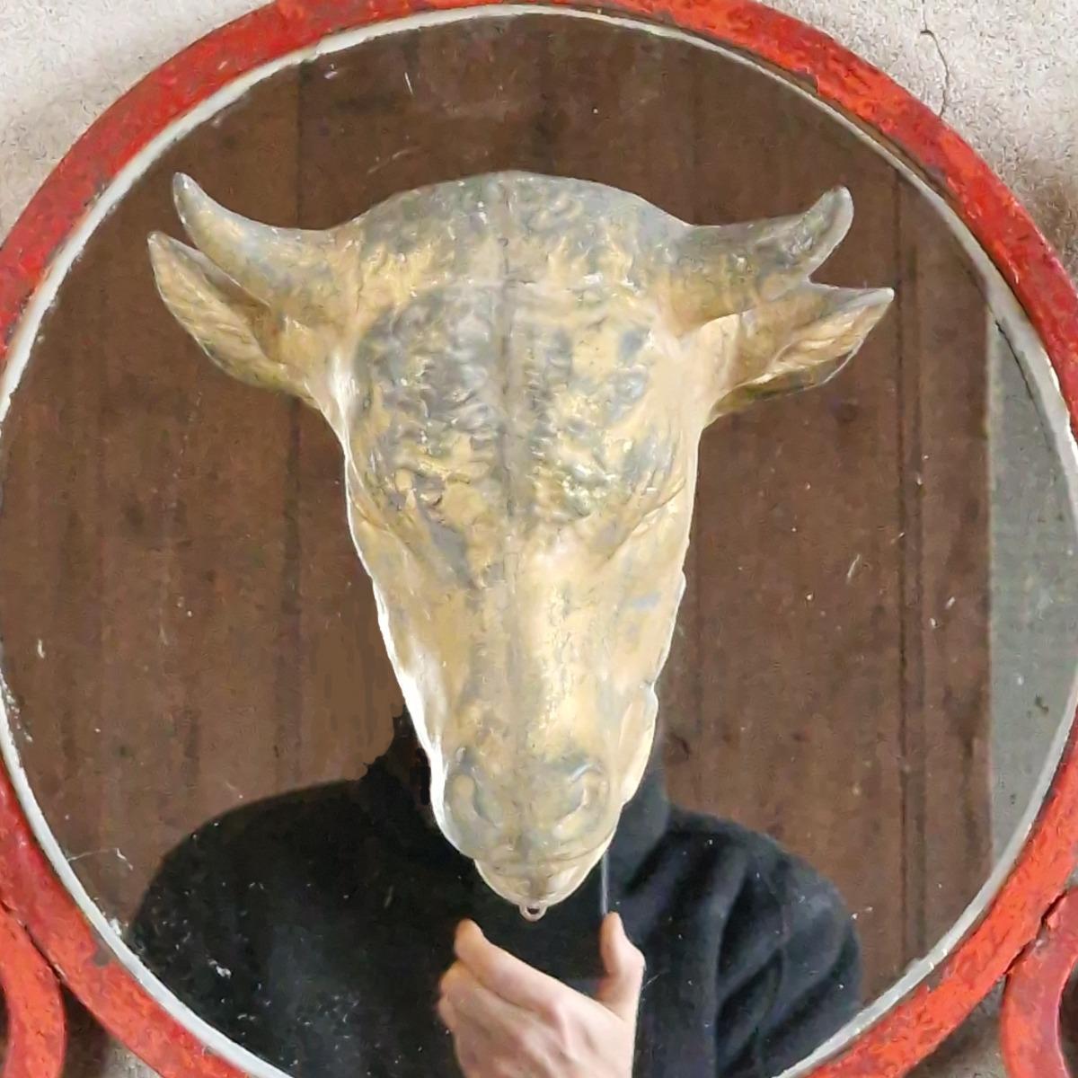 Zinc bull's head on frame